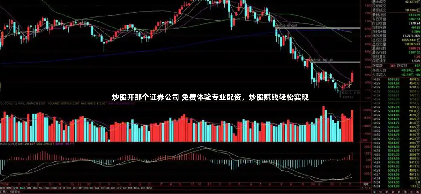 炒股开那个证券公司 免费体验专业配资，炒股赚钱轻松实现